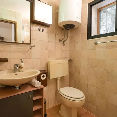 Willa Family Rosin With Garden&pool Milna (Brac)